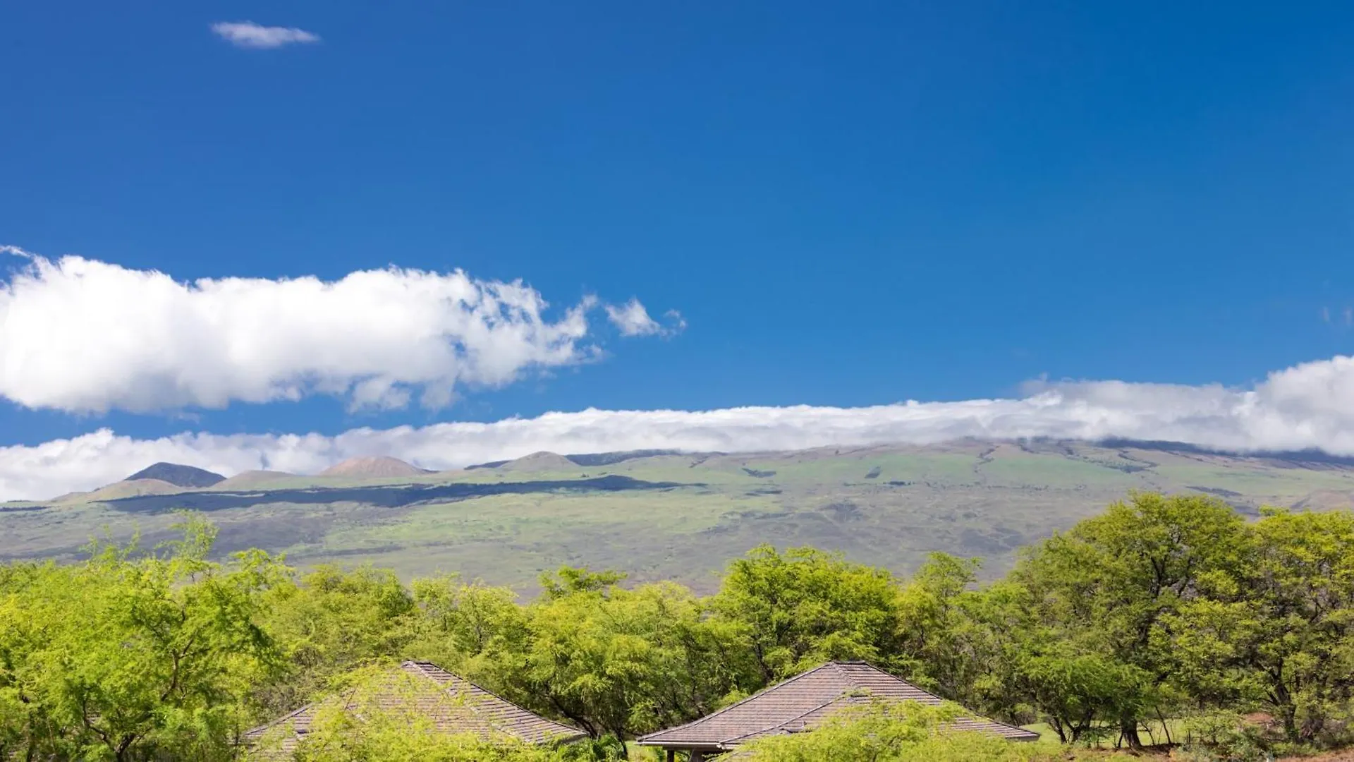 Villa Island Hideaway Modern 2Br Kulalani Home With Amazing Community Pools Waikoloa